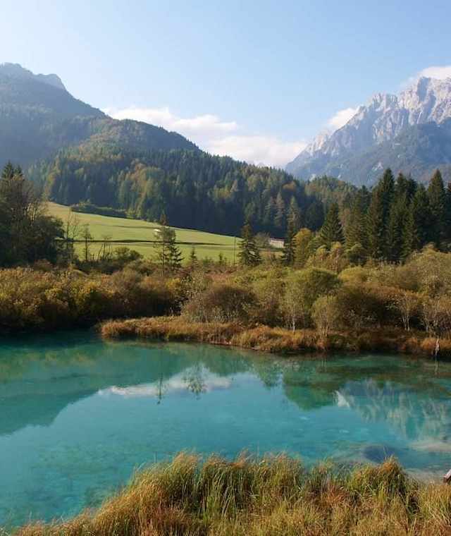 Naturreservat Zelenci
