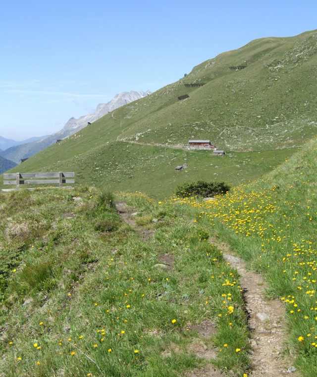 Auf dem Alpenblumenweg