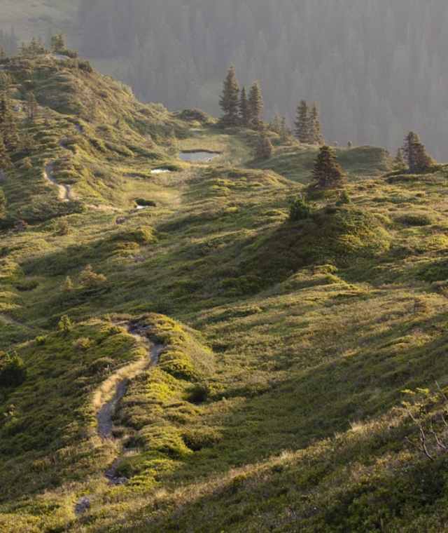 Alpenüberquerung - Etappe 4: Von Maurach am Achensee nach Hochfügen