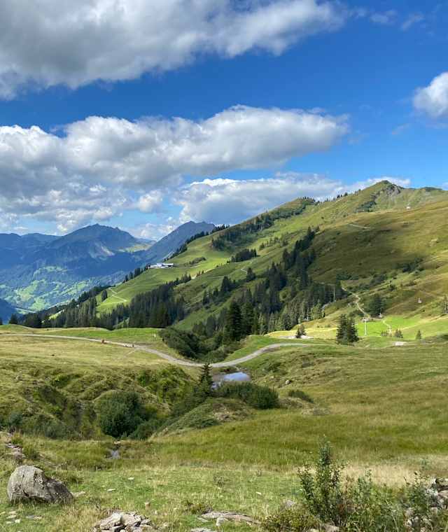 Ausblick ins Tal