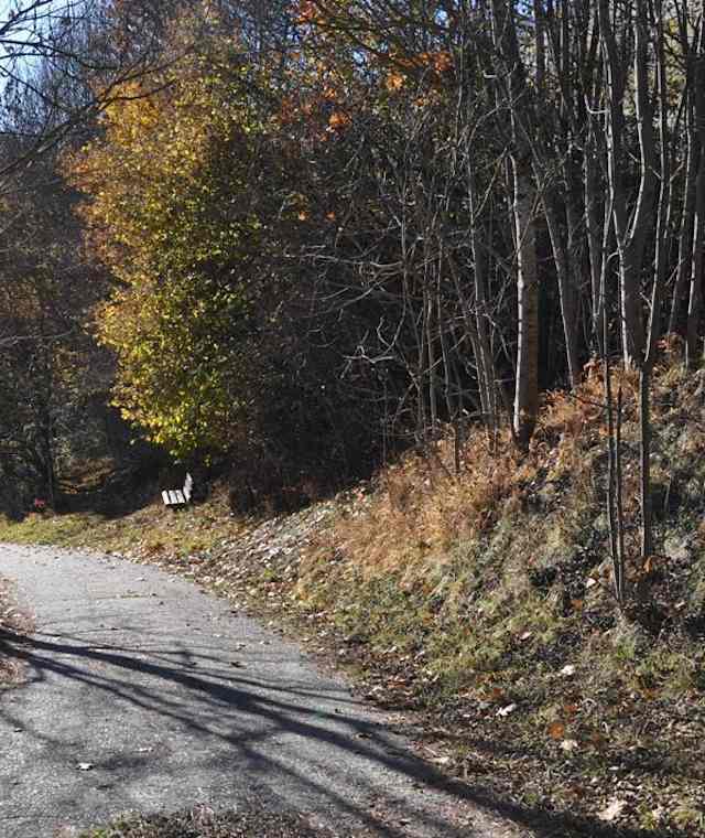 Alte Römerstraße Richtung Radl in Trebesing