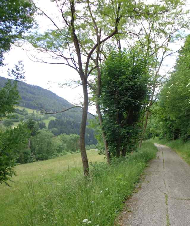 Alte Römerstraße Richtung Trebesing, höchster Wegpunk