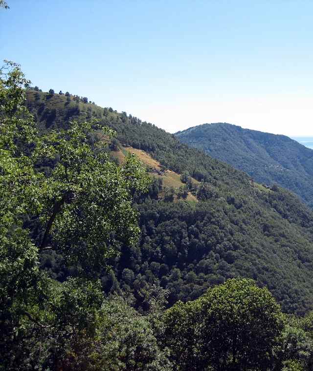 Sassello