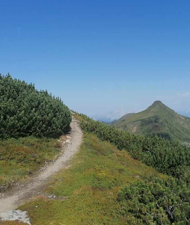 Am Grat zum Karlspitz
