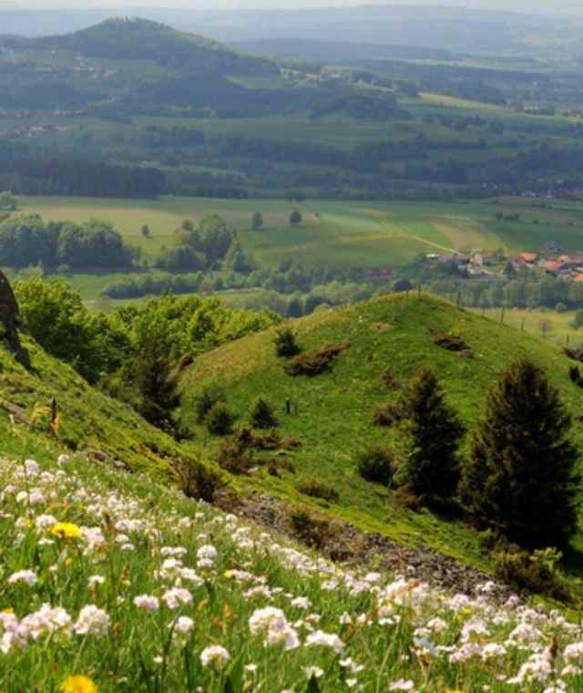 Am Kuppenweg