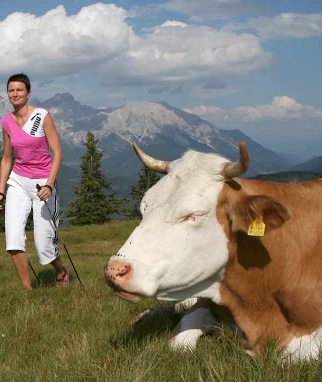 Wandern im Salzburgerland
