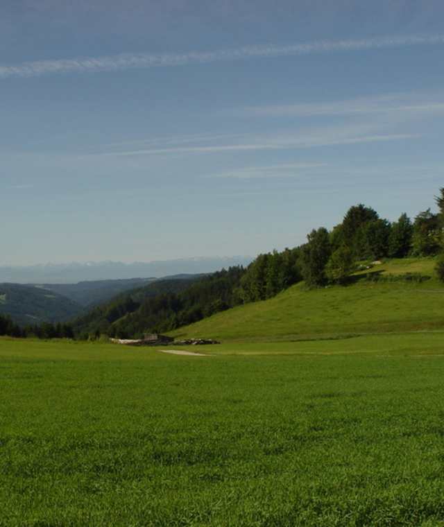 Ameisenweg