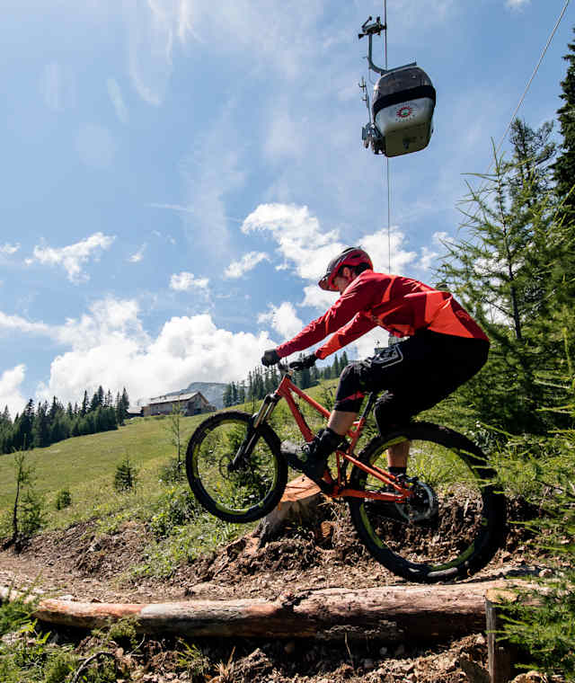 Thriller Trail MTB Bikepark Petzen