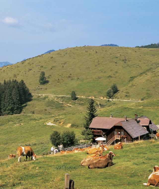 Anlaufalm - Große Hintergebirgsrunde