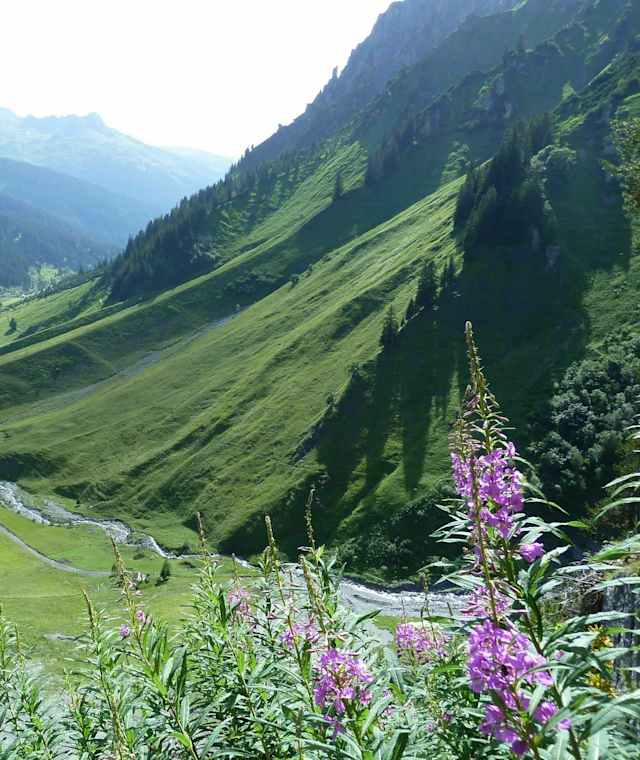 Arlberg