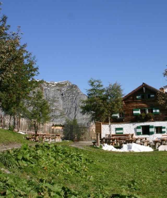 Rund vom Arthurhaus zur Mitterfeldalm