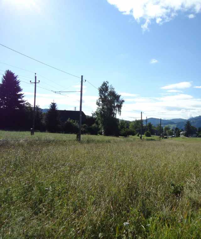 Attersee, Abtsdorf - Panoramaweg