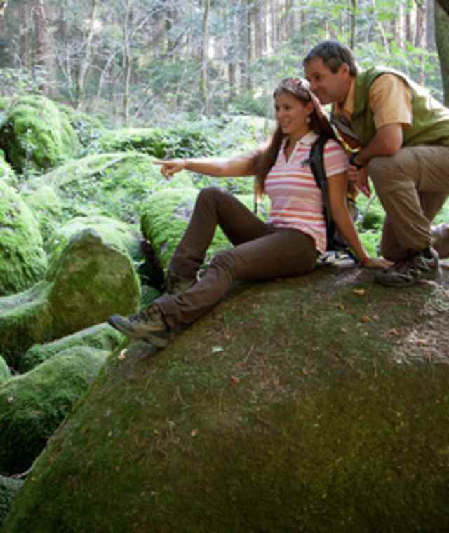 Goldsteig Zuweg Nr. 5A: Von Ritzlersreuth (Doost) nach Neustadt