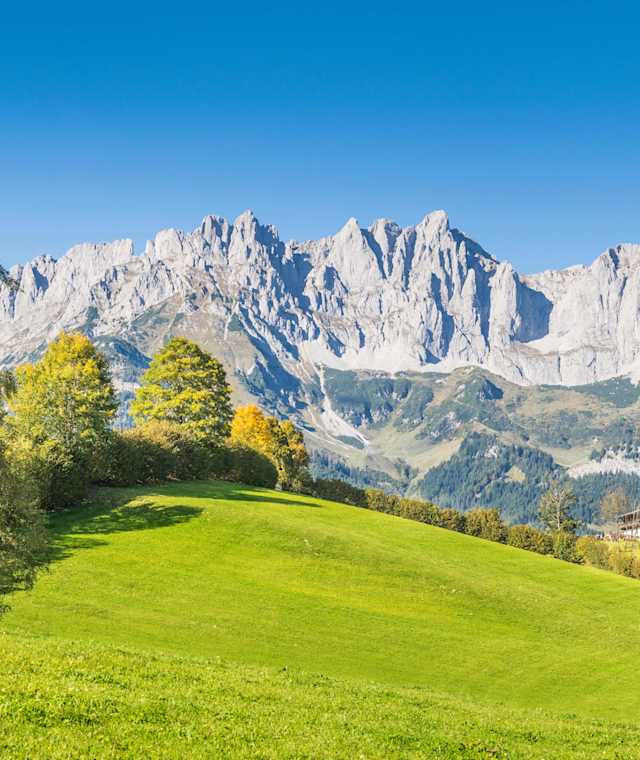 Ausblick auf den Wilden Kaiser