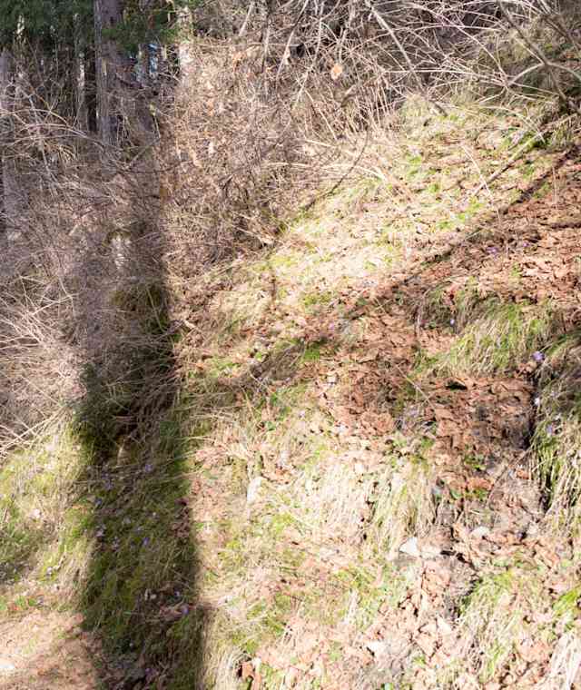 Auf dem Weg des Kinesiologischen Parcours