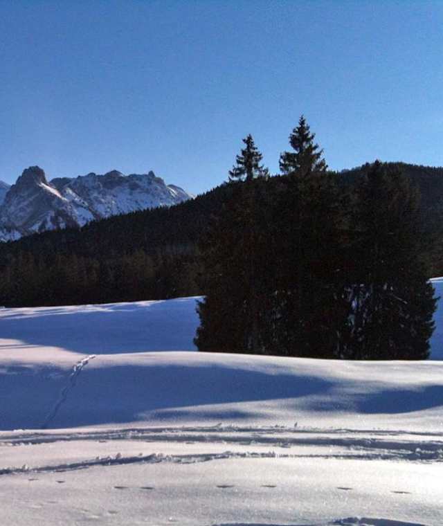 Blick auf die Hochplatte