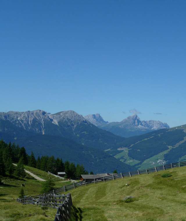 Lutterkopf