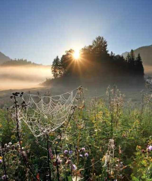 Morgenstimmung am Weitsee
