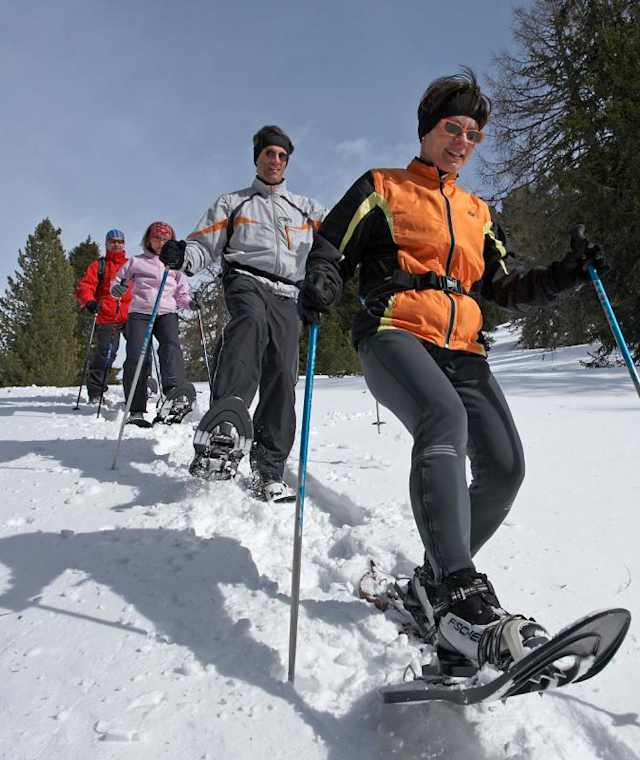  Schneeschuhwanderung auf die Greiseneckalm 