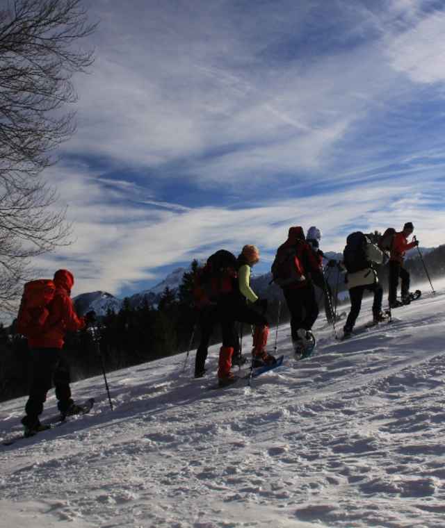 Zellboden