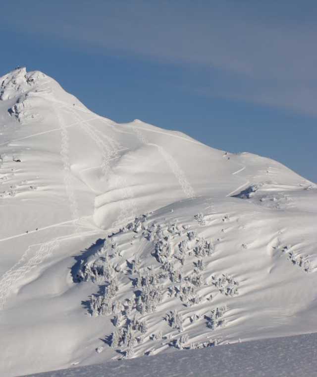 Blick vom Kornbichl in Richtung Sonnspitz