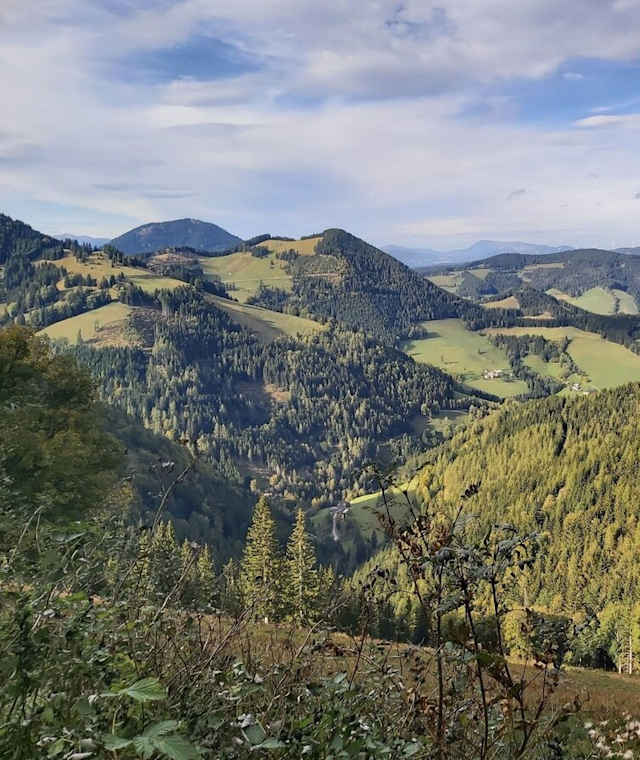 Ausblick in Richtung Gasen, Naturpark Almenland