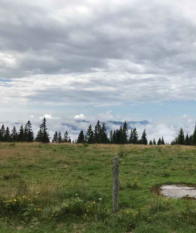 Ausblick von der Stanglalm