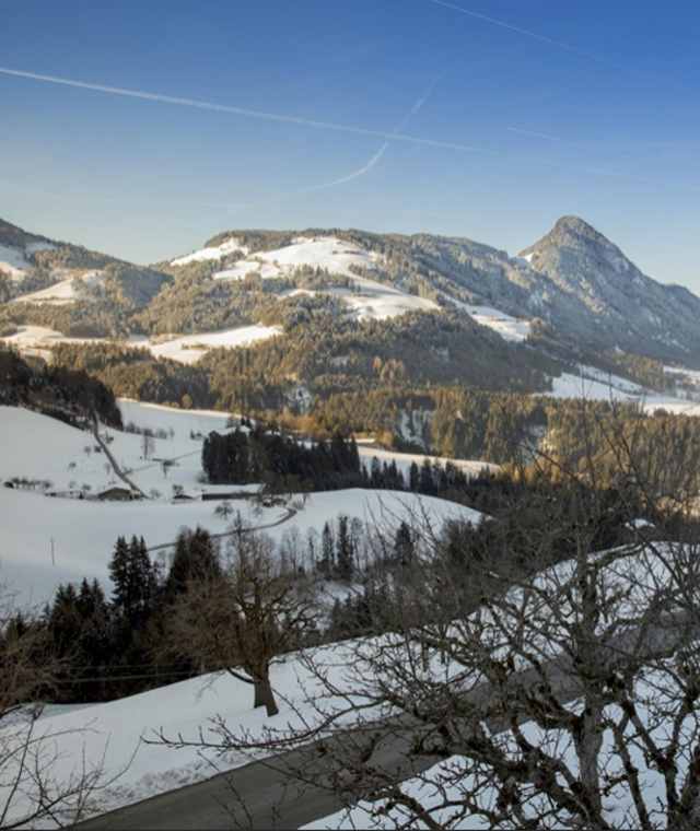 Ausblick vom Pinzgerhof im Winter