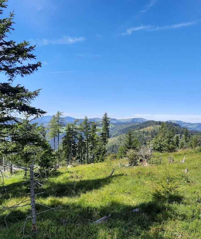 Ausblick vom Zetz-Gipfel
