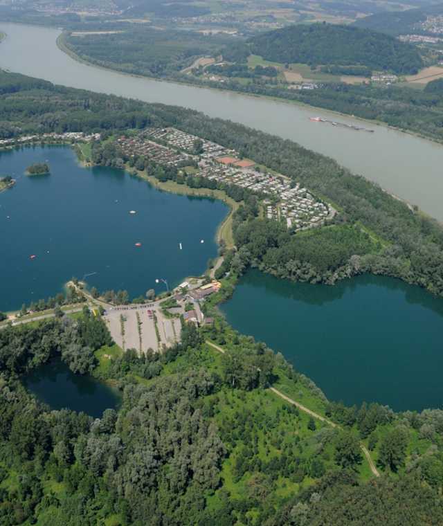 Ausee