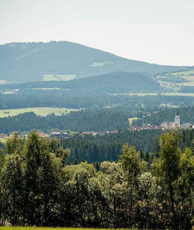 Aussicht Wildwiese