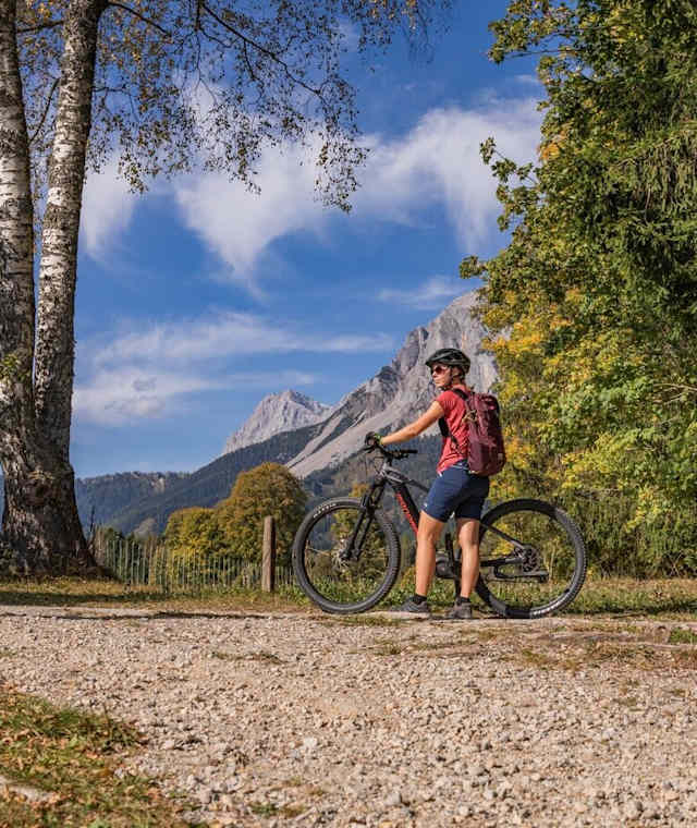 Blick auf den Dachstein