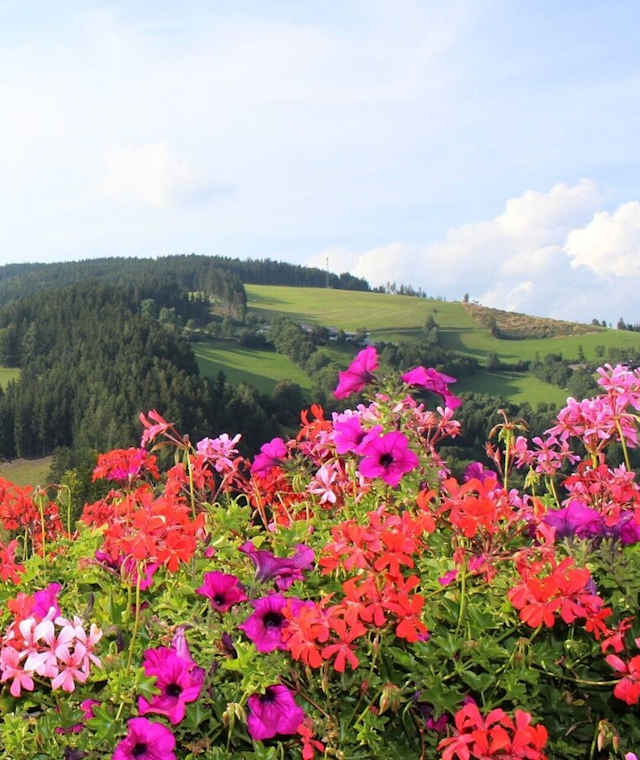 Aussicht Heilbrunn