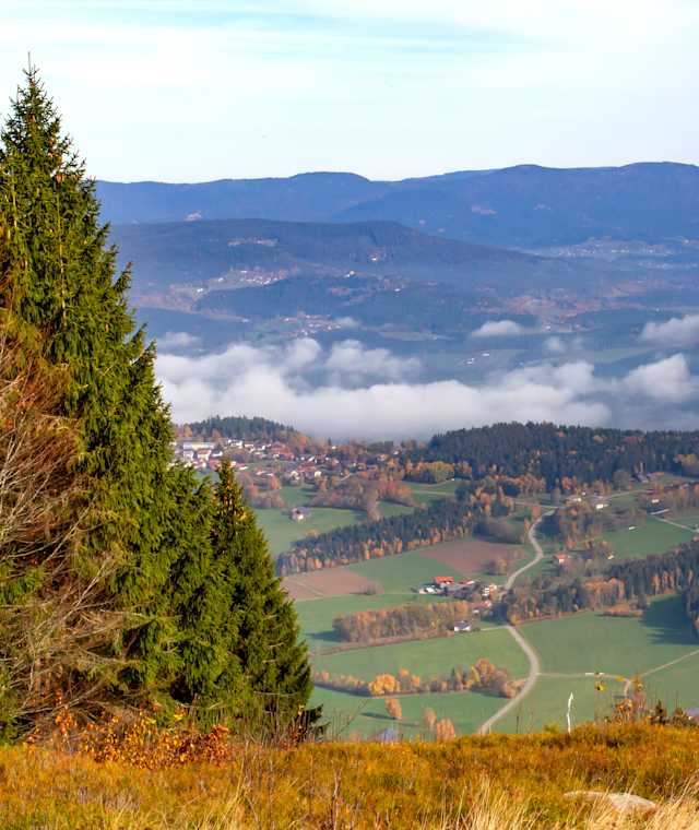 Aussicht vom Pröller