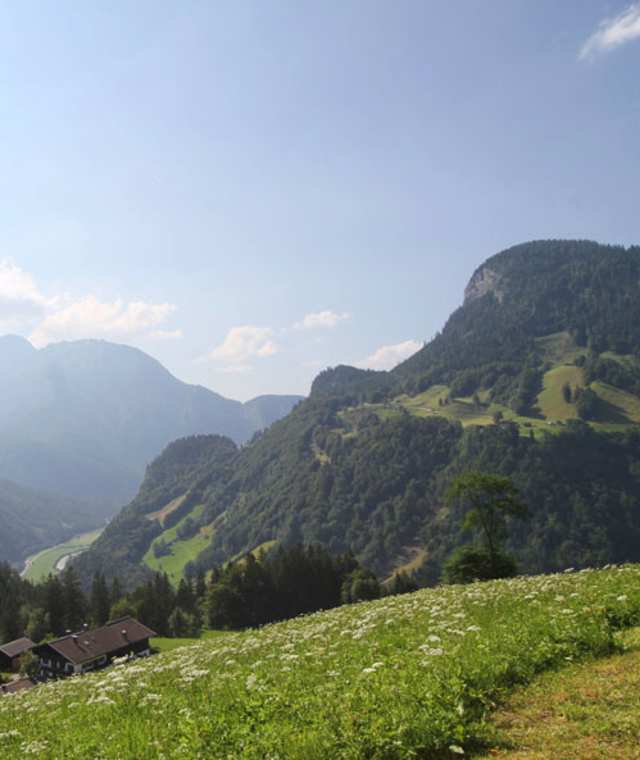 Aussicht ins Salzburger Saalachtal