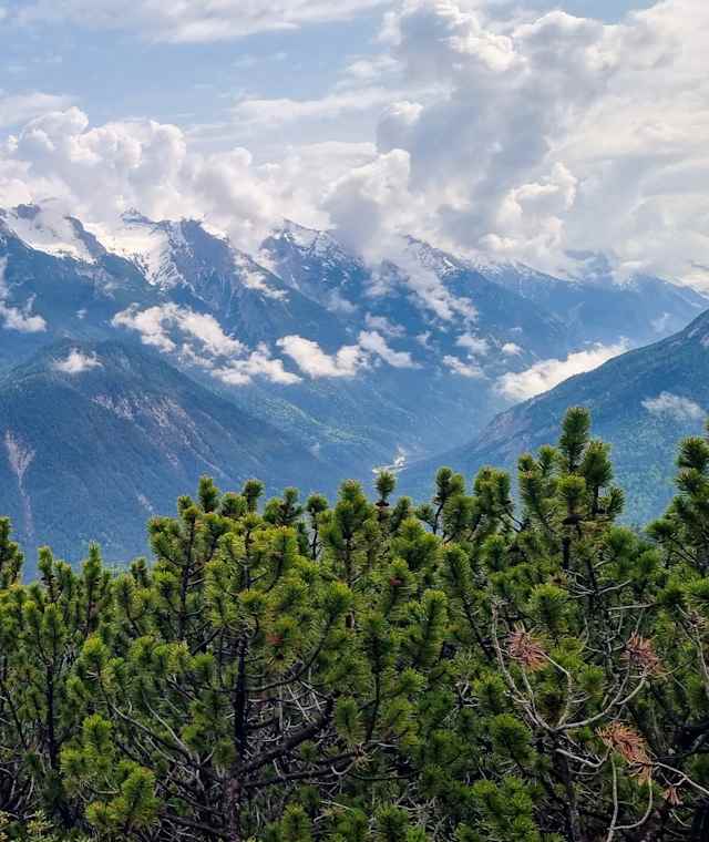 Aussicht vom Zäunlkopf Richtung Karwendel