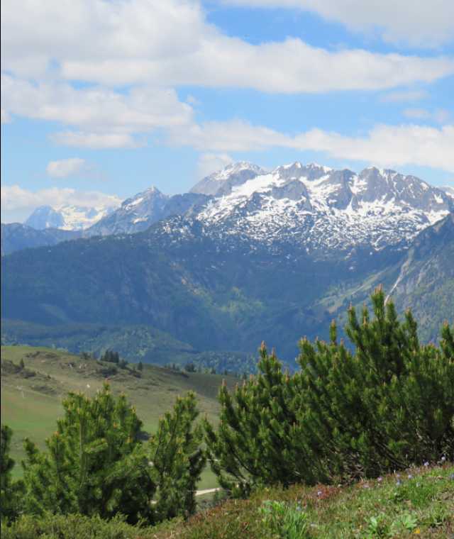 Aussicht von der Zwieselalm