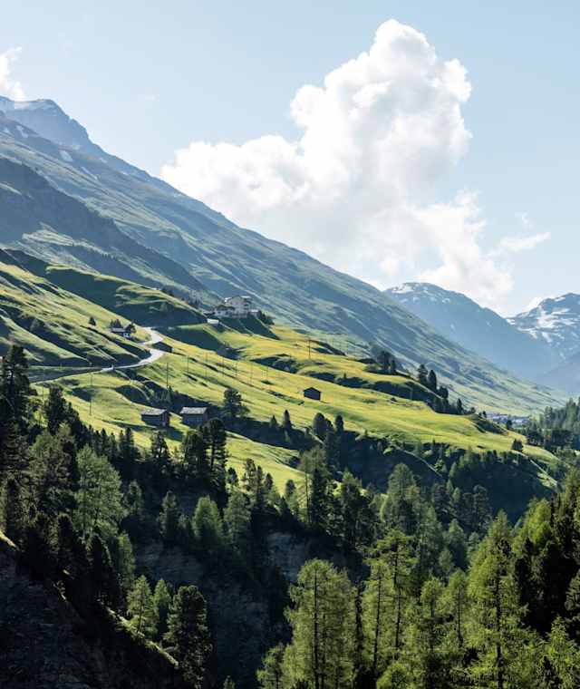 Blick in Averstal mit Cresta