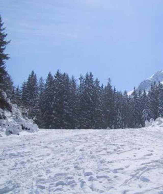 Das Axamer Kögele (2.100 m)