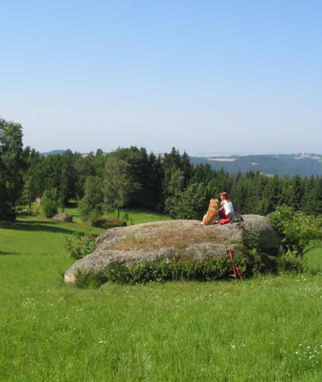 Bad Zell - Brandtnerhöhe - Waltersberg