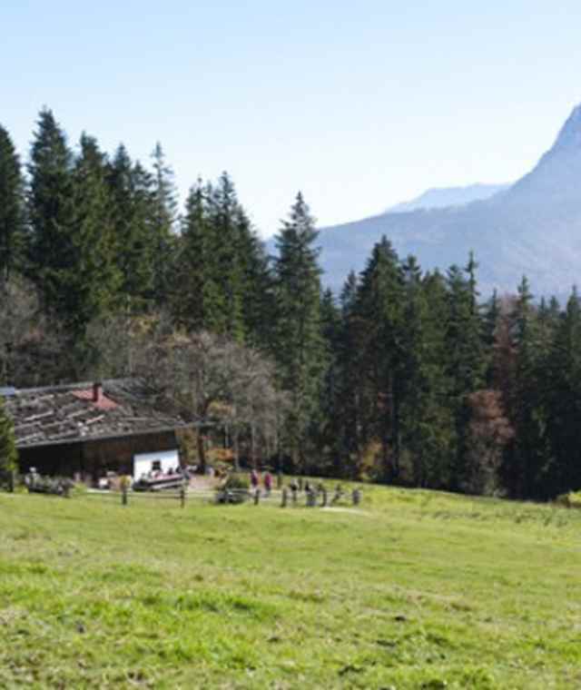 Bäckeralm Runde