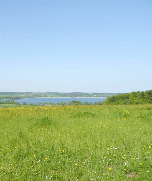 Ausblick vom Mühlberg auf den Waginger See