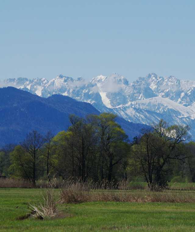 Naturschutzgebiet Grabenstätter Moos