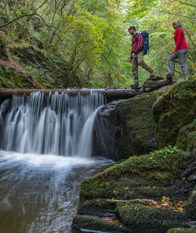 Auf der Traumschleife Baybachklamm