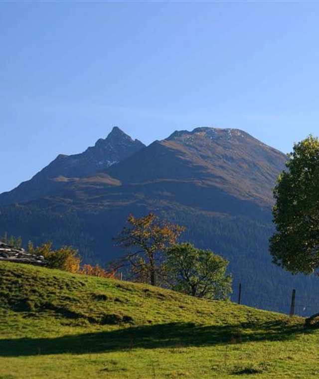 Beim Jagaloch Richtung Hörgeralm lichtet sich der Waldung der Großvenediger rückt ins Blickfeld.