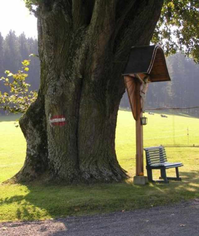 Symbolbild Wandern