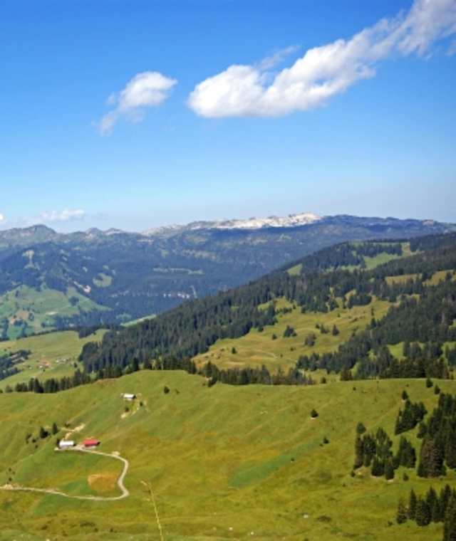Lombachalp Blick Habkern
