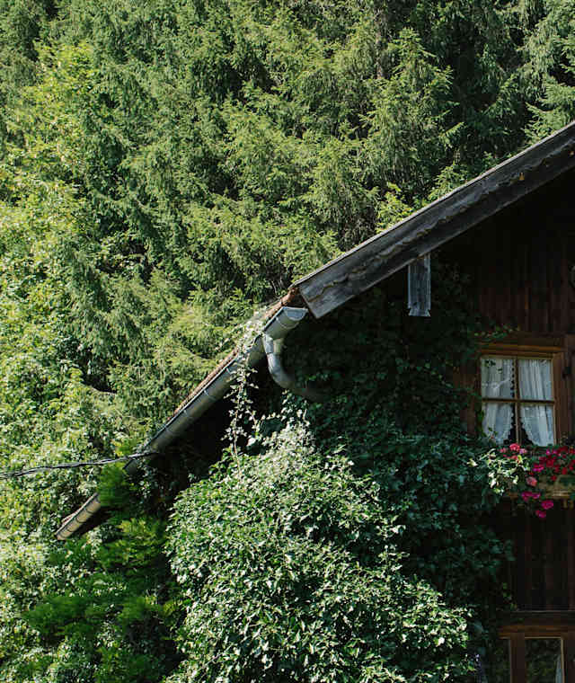 Berggaststätte Romanshöhe
