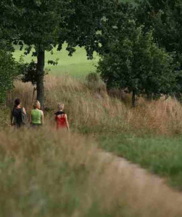 Bergkräuterweg