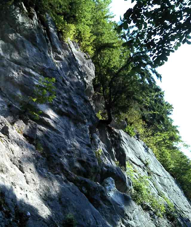 Auerwandl